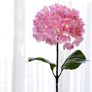 White Hydrangea Silk Flowers Stem - Staunton and Henry